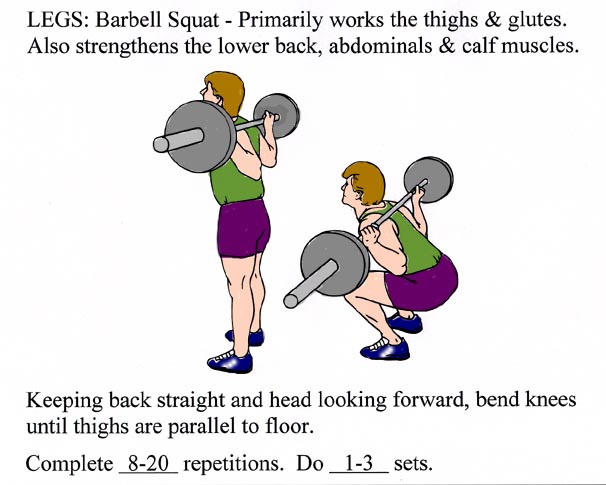 Barbell Squat