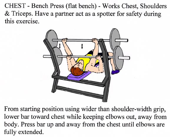 Bench Press