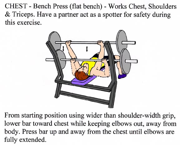 Bench Press