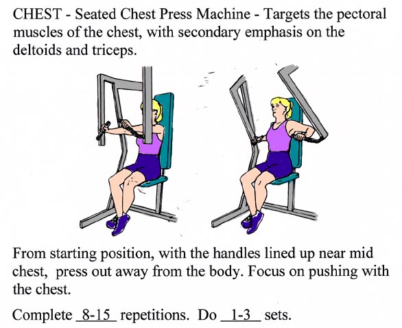 Chest Press Machine