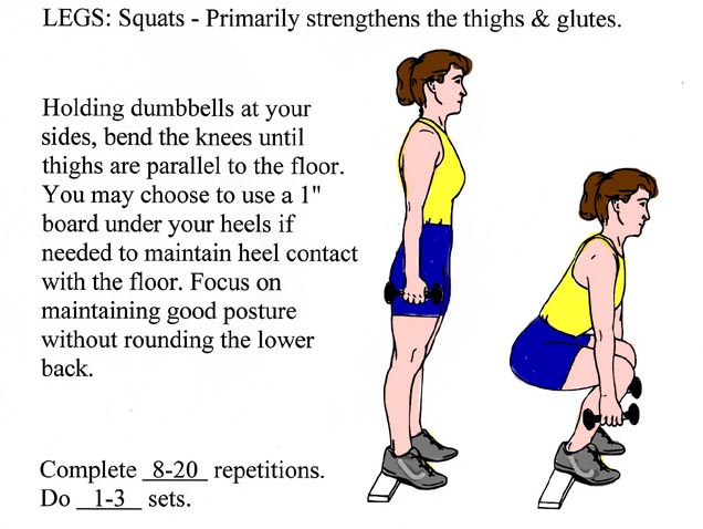 The Dumbbell Squat