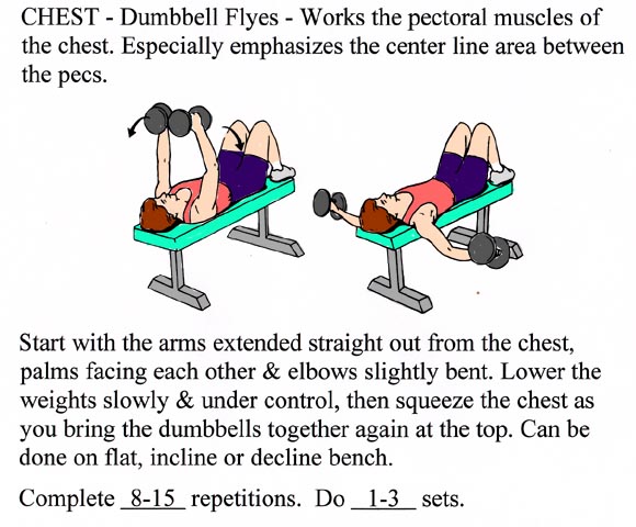 Dumbbell Flyes