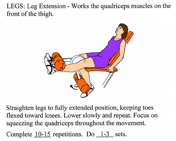 Leg Extensions