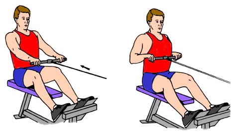 Seated Cable Row